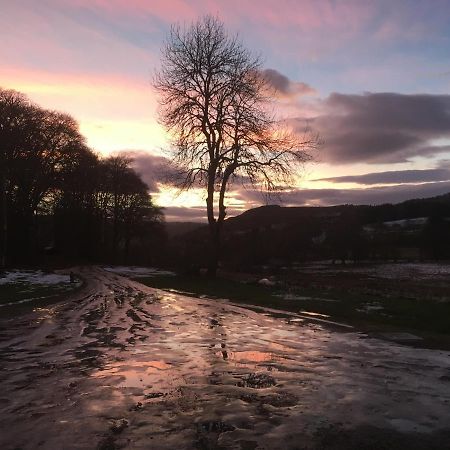 Beautiful Highland 1-Bed Cottage Inverness Bagian luar foto